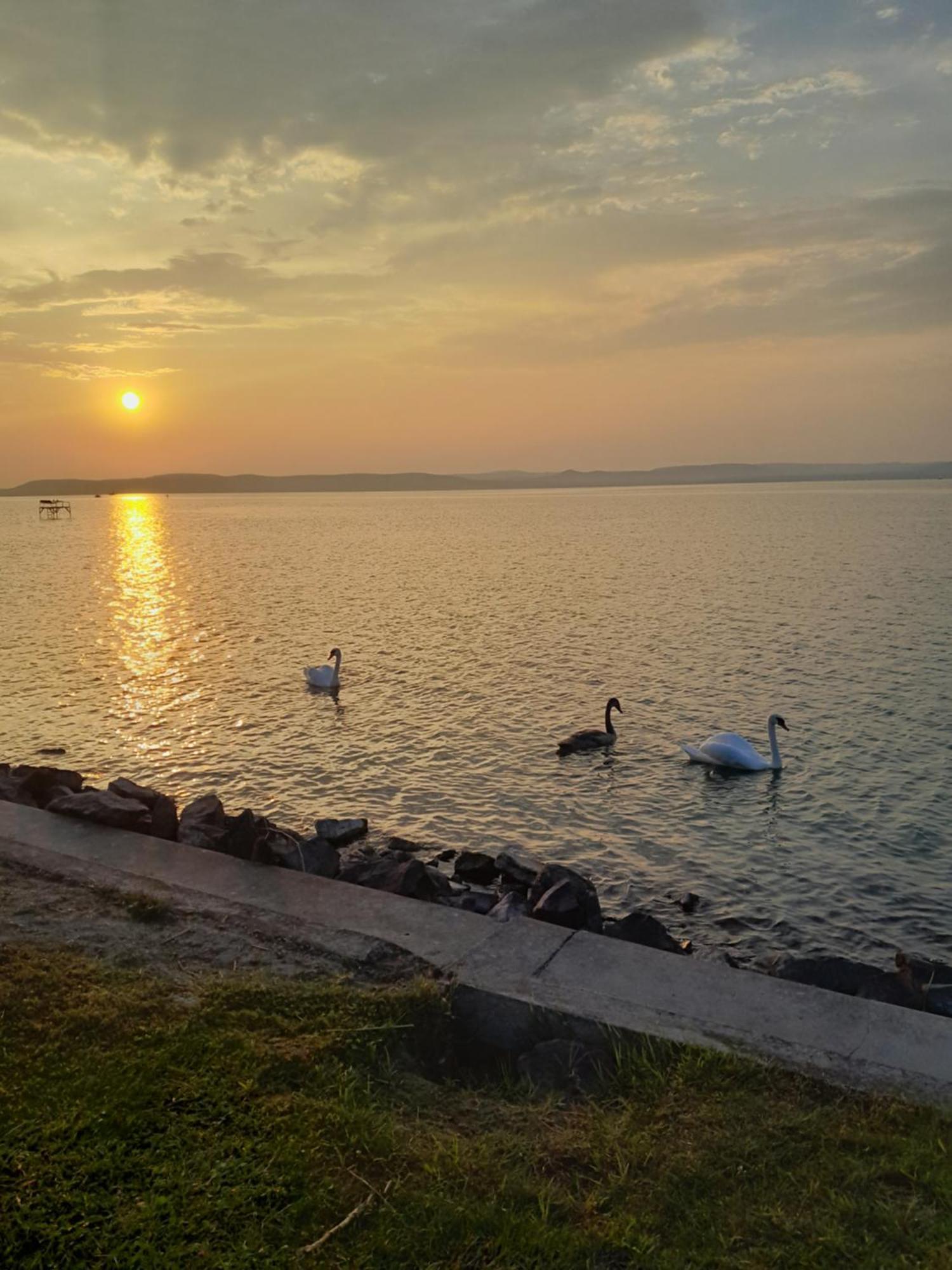 Traumlage Direkt Am See Balatonszárszó Eksteriør bilde